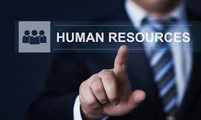Human Resources Internship